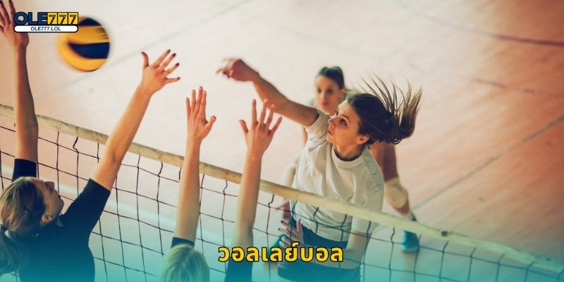 วอลเลย์บอล สนุกทุกแมตช์ – เดิมพันสไตล์กีฬาแท้ที่ Ole777 7 วอลเลย์บอล สนุกทุกแมตช์ – เดิมพันสไตล์กีฬาแท้ที่ Ole777