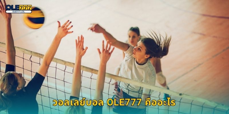 วอลเลย์บอล Ole777 คืออะไร