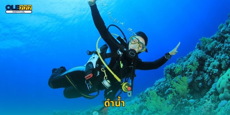 ดำน้ำ สัมผัสใต้ทะเล – ประสบการณ์ผ่อนคลายที่ Ole777 1 ดำน้ำ สัมผัสใต้ทะเล – ประสบการณ์ผ่อนคลายที่ Ole777